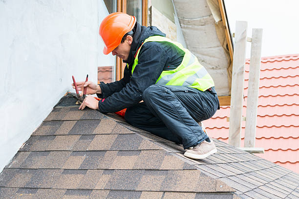 Best Roof Gutter Cleaning  in Fredericksburg, VA